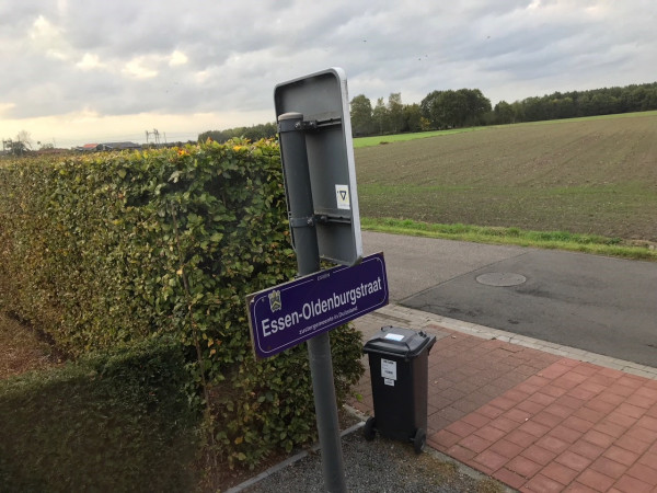 Pflanzen einer Silberlinde